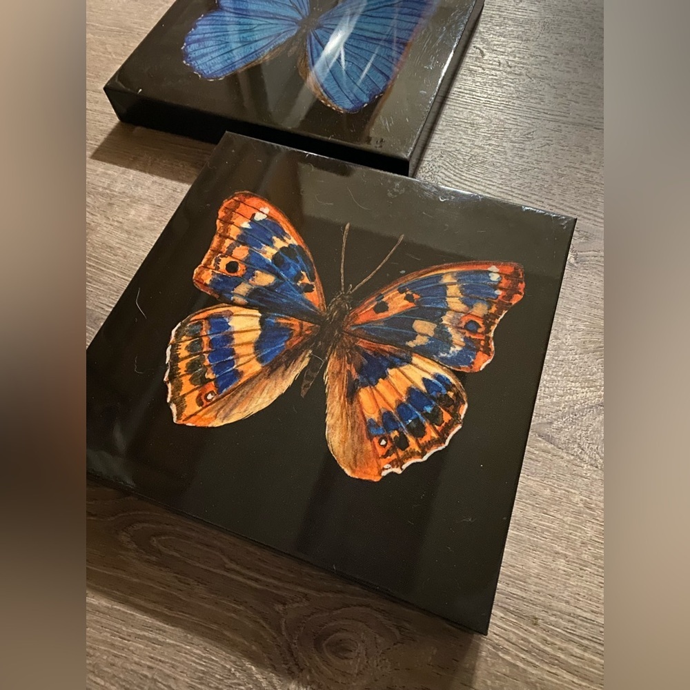 Butterfly Canvas Wall Art Set | Blue & Orange Nature Decor 12x12 - Picture 4 of 7